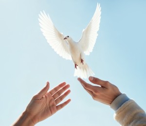 Leão XIV: perseveremos em invocar o dom da paz para o mundo inteiro