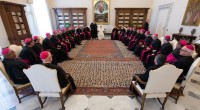 “Alegria, simplicidade e largo sorriso no rosto”: Papa recebe bispos do Estado de São Paulo